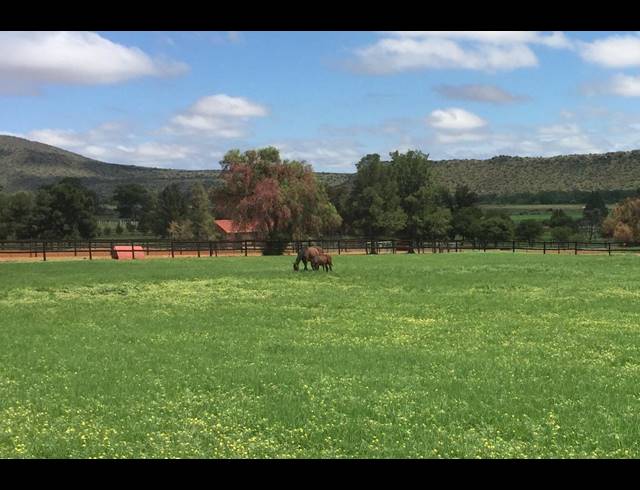 471HA FARM FOR SALE IN MIDDELBURG RURAL